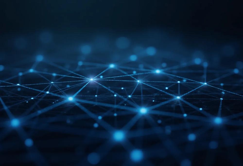 Digital network